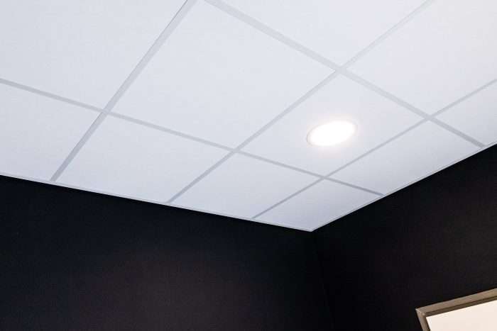 LED Downlighter DLF 225 - wit - Systeemplafond aan