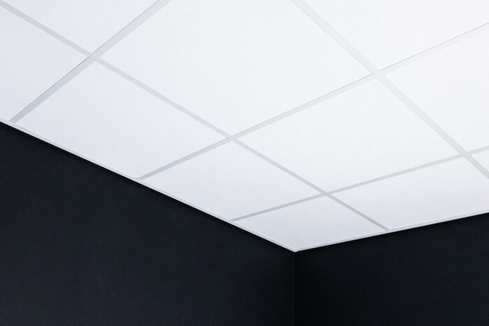 Ecophon Advantage inleg 600x600x20mm systeemplafond