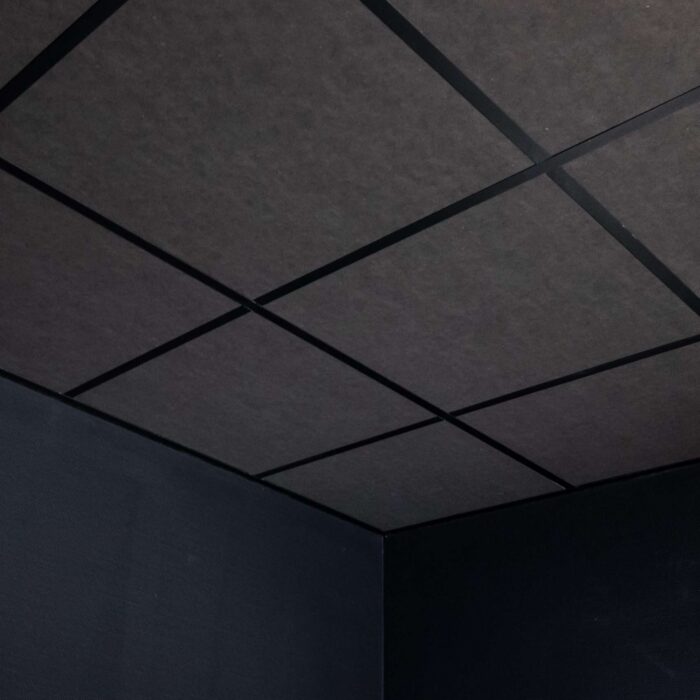 Rockfon Color-all Charcoal (09) inleg 600x600x20mm Systeemplafond