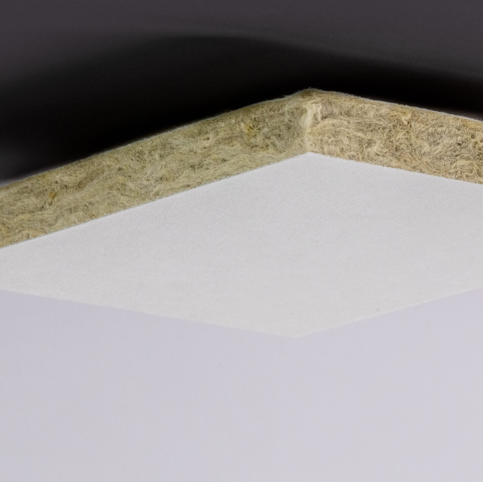 Rockfon Pacific inleg 600x600x12mm